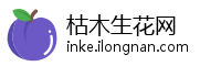 枯木生花网